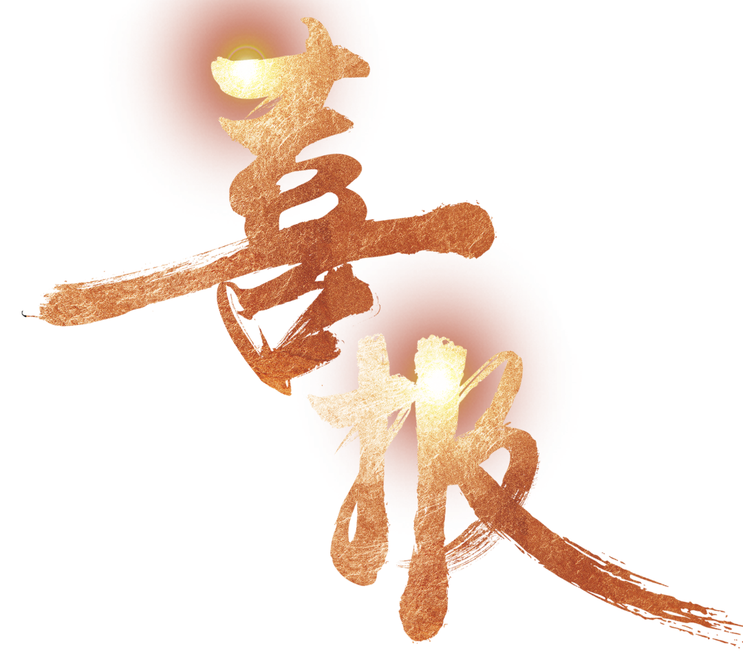 【中標(biāo)喜訊】鑫飛鵬喜中標(biāo) 全力以赴創(chuàng)新高！